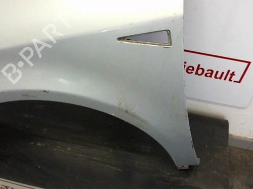 Left front fenders RENAULT VEL SATIS (BJ0_) 2.2 dCi (BJ0E, BJ0F) | BP20103806C41 