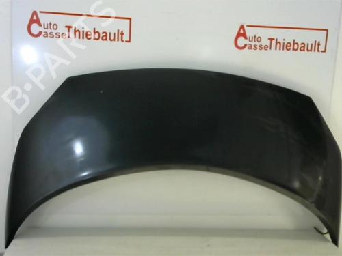 Used Hood RENAULT GRAND SCÉNIC II (JM0/1_) 1.9 dCi (JM0G, JM12, JM1G, JM2C) (120 hp) 30780873