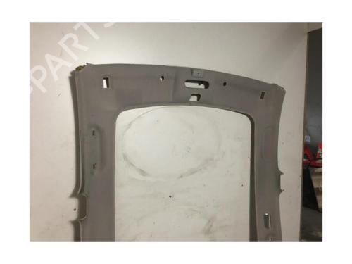 Interior roof NISSAN QASHQAI / QASHQAI +2 I (J10, NJ10, JJ10E) 1.5 dCi | BP20614817I12 