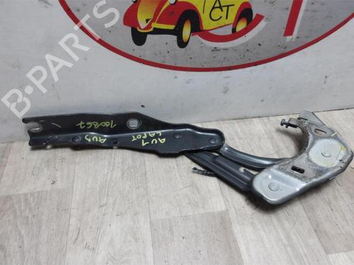 Hinge/Door check strap AUDI A1 (8X1, 8XK) 1.6 TDI | BP13261098C146