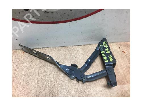 Hinge/Door check strap VW GOLF V (1K1) 1.9 TDI | BP13264657C146 