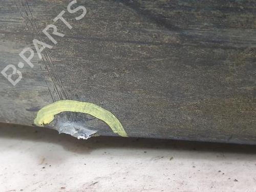 BP30784089C2 main image