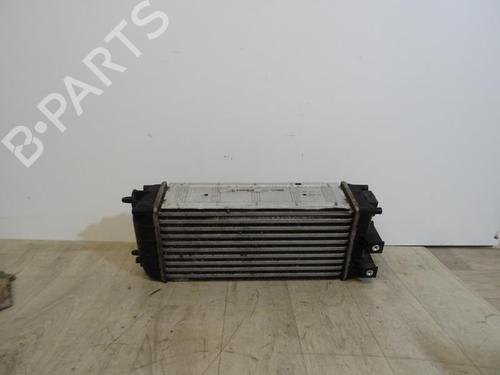 Intercooler CITROËN C4 II (NC_) 1.6 HDi 115 | BP29174144M30