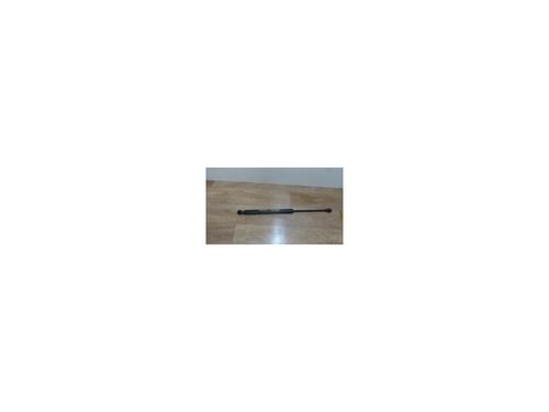 Used Hood lift support DACIA LODGY (JS_) 1.5 dCi (JSMC, JSAF) (107 hp) 20633029