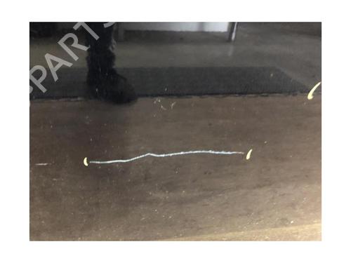 Left front door FIAT GRANDE PUNTO (199_) 1.3 D Multijet | BP25305713C2 