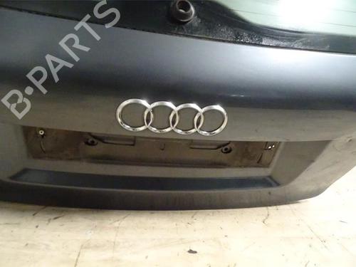 Bakluke CC/Kombi-Kupé AUDI A3 (8P1) 2.0 TDI 16V | BP23067863C6 