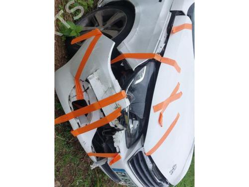 Rubber door seal PEUGEOT 308 II (LB_, LP_, LW_, LH_, L3_) 1.6 BlueHDi 120 | BP24028666C142 