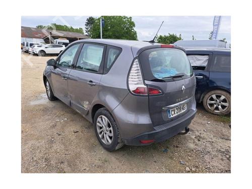 Elektronische sonde RENAULT SCÉNIC III (JZ0/1_) 1.5 dCi | BP30796823M84