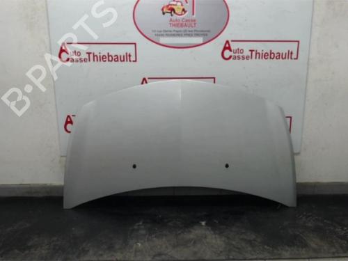 Used Hood RENAULT CLIO III (BR0/1, CR0/1) 1.5 dCi (BR17, CR17) (86 hp) 22795117