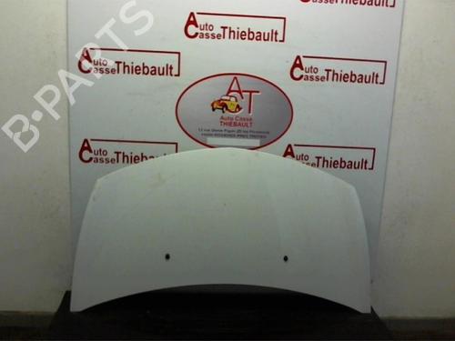 Used Hood RENAULT CLIO III (BR0/1, CR0/1) 1.5 dCi (75 hp) 22808759