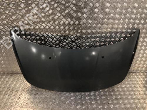 Capot PEUGEOT 3008 I MPV (0U_) 1.6 HDi (109 hp) 31872790