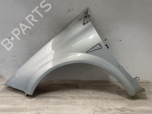 Used Left front fenders RENAULT MEGANE II Saloon (LM0/1_) 1.9 dCi (LM0G, LM1G, LM2C) (120 hp) 13114879