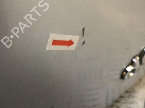 Tailgate RENAULT CLIO III (BR0/1, CR0/1) 1.5 dCi | BP31199979C6