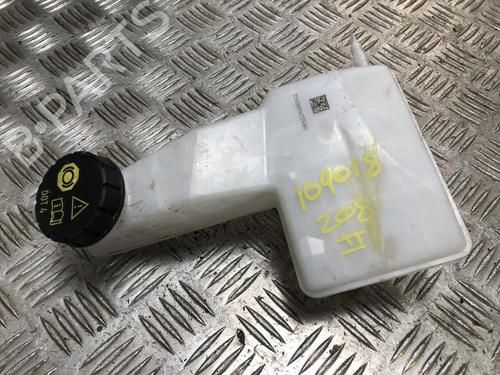 Used Brake fluid reservoir PEUGEOT 208 II (UB_, UP_, UW_, UJ_) 1.5 BlueHDI 100 (102 hp) 31203254