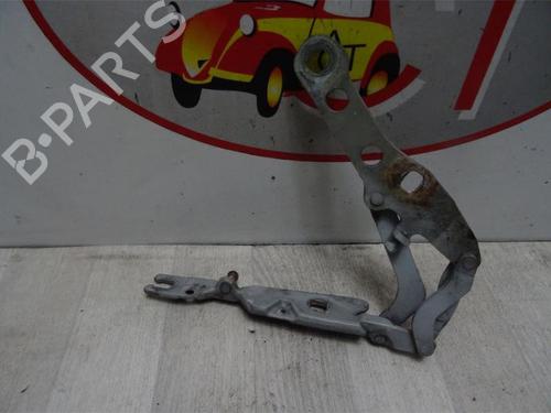 Hinge/Door check strap BMW 3 (E46) 320 d | BP13129902C146 