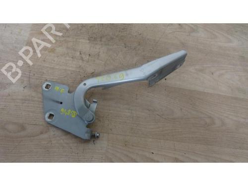 Hinge/Door check strap RENAULT MEGANE III Hatchback (BZ0/1_, B3_) 1.5 dCi (BZ09, BZ0D, BZ1W, BZ29, BZ14) | BP13130556C146 