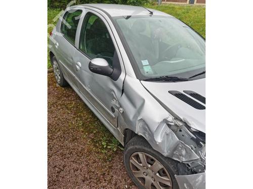 Licence plate light PEUGEOT 206+ (2L_, 2M_) 1.4 HDi eco 70 | BP20623459I40 