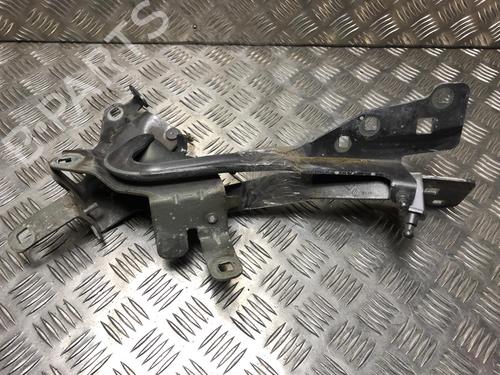 Used Hinge/Door check strap RENAULT GRAND SCÉNIC III (JZ0/1_) 1.5 dCi (JZ09, JZ0D, JZ10, JZ14, JZ1G, JZ29, JZ2C) (110 hp) 24492914