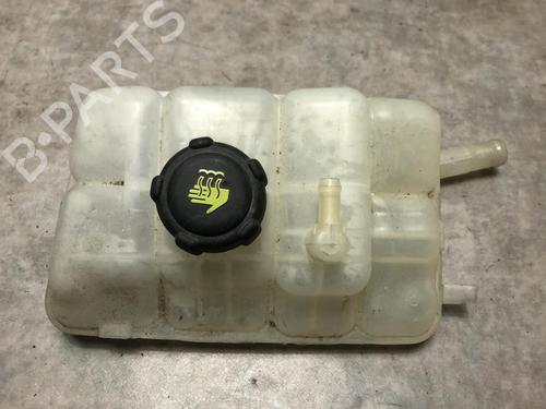 Used Expansion tank RENAULT MEGANE IV Hatchback (B9A/M/N_) 1.6 dCi 130 (B9A4) (130 hp) 20620374