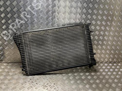 Used Oil radiator AUDI A3 (8P1) 1.9 TDI (105 hp) 31185924
