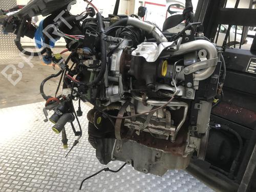 Engine DACIA DOKKER MPV (KE_) 1.5 dCi (KEAJ, KEAH) | BP31185680M1 