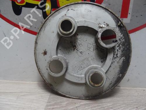 Used Hub cap RENAULT CLIO I (B/C57_, 5/357_) 1.1 (46 hp) 30783321