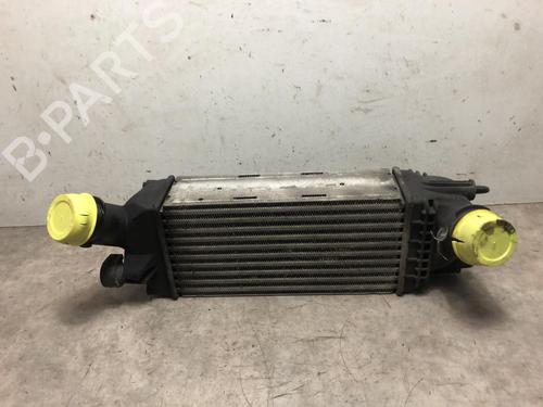 Used Intercooler CITROËN C5 III Break (RW_) 2.0 HDi (136 hp) 31185608