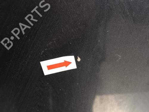 Hood RENAULT VEL SATIS (BJ0_) 2.2 dCi (BJ0E, BJ0F, BJ0G, BJ0H) | BP31203404C1