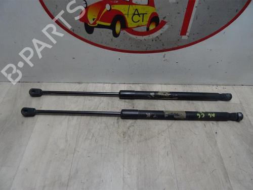 Tailgate lift support AUDI A6 C6 Avant (4F5) 3.0 TDI quattro | BP23033529C138 
