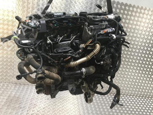 Motor CITROËN BERLINGO Box Body/MPV (B9) 1.6 HDi / BlueHDi 75 (75 hp) 31186775