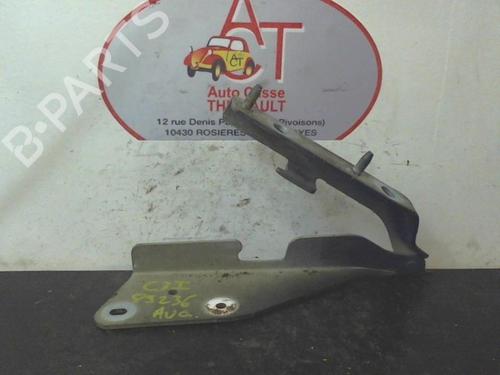 Used Hinge/Door check strap Hinge/Door check strap CITROËN C3 I (FC_, FN_) 1.4 HDi (68 hp) 13131432 13131432