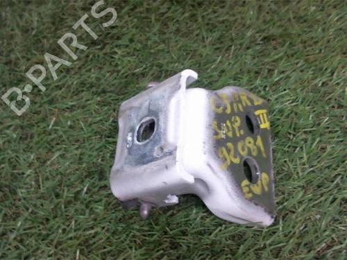 Hinge/Door check strap CITROËN C3 II (SC_) 1.4 HDi 70 (SC8HZC, SC8HR0, SC8HP4) | BP13266153C146 