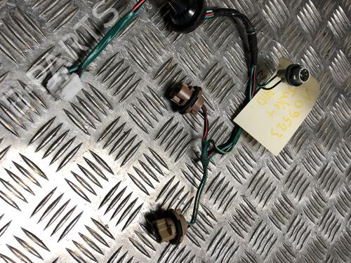 Luz matrícula NISSAN JUKE (F15) 1.5 dCi (110 hp) 31197798