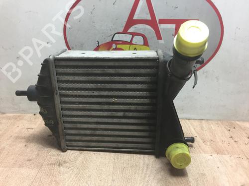 Used Intercooler LANCIA MUSA (350_) 1.3 D Multijet (350.AXB11, 350.AXB1A) (70 hp) 25305190