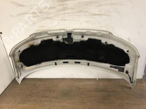 Hood VW TRANSPORTER T5 Van (7HA, 7HH, 7EA, 7EH) 2.5 TDI | BP31202365C1 