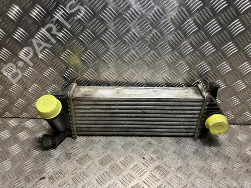 Used Intercooler RENAULT KANGOO Express (FW0/1_) 1.5 dCi 75 (FW07, FW10, FW04) (75 hp) 31200527