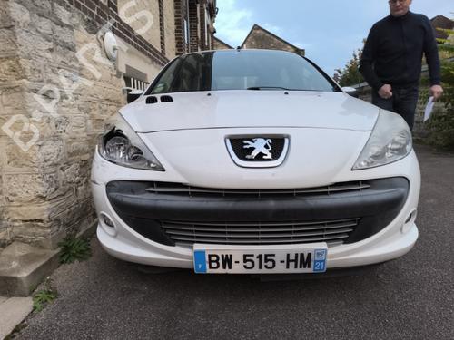 Rear left panel PEUGEOT 206+ (2L_, 2M_) 1.4 HDi eco 70 | BP31202975C60 