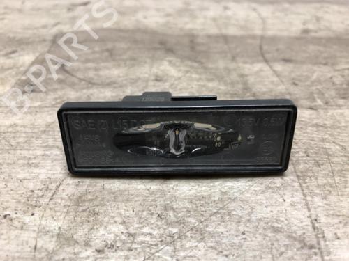 Used Licence plate light RENAULT CLIO V (B7_) 1.0 TCe 90 (B7MT) (91 hp) 23873382