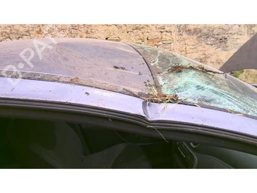 Hinge/Door check strap CITROËN C3 I (FC_, FN_) 1.4 HDi | BP13266641C146 