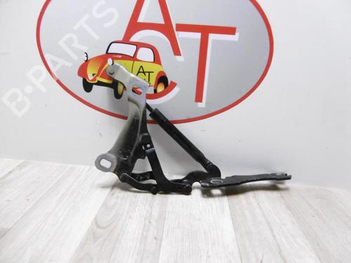 Used Hinge/Door check strap MINI MINI (R56) Cooper (120 hp) 20613420