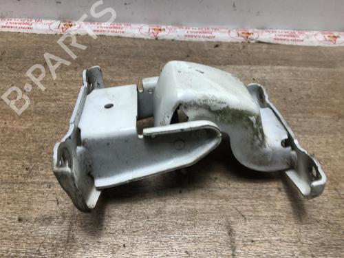Used Hinge/Door check strap RENAULT CLIO III (BR0/1, CR0/1) 1.2 16V (78 hp) 20616301