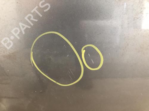 Used Hood FORD S-MAX (WA6) 2.0 TDCi (140 hp) 23870298