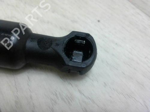 Tailgate lift support PEUGEOT 207 CC (WD_) 1.6 16V | BP13129362C138 