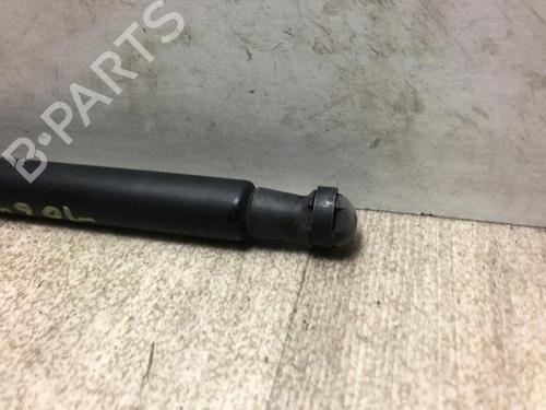 Used Tailgate lift support FIAT PUNTO EVO (199_) 1.3 D Multijet (199AXC1A, 199BXC1A, 199AXT1A, 199BXT1A) (75 hp) 23109677