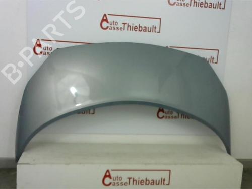 Used Hood RENAULT GRAND SCÉNIC II (JM0/1_) 1.9 dCi (JM0G, JM12, JM1G, JM2C) (120 hp) 30780699