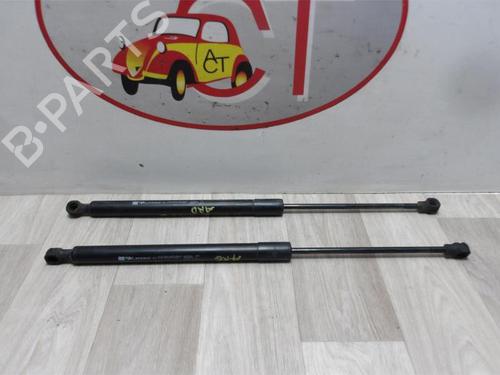 Tailgate lift support RENAULT CLIO IV (BH_) 1.5 dCi 75 | BP13133965C138 