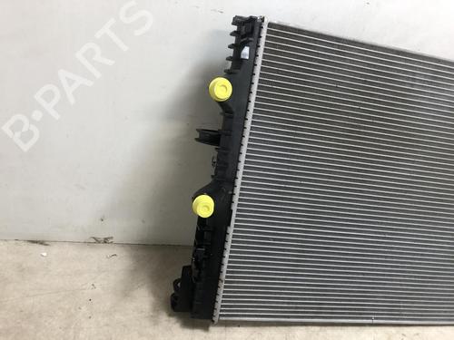Water radiator RENAULT TWINGO III (BCM_, BCA_) 0.9 TCe 90 (BCM9, BCM2) | BP20624958M31