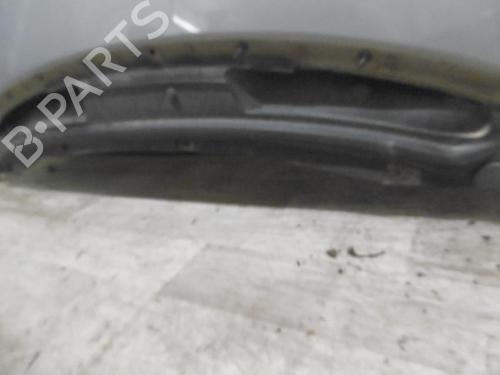 Capot RENAULT ESPACE IV (JK0/1_) 2.0 dCi (JK01, JK02, JK1J, JK1K, JK1H) | BP30782586C1