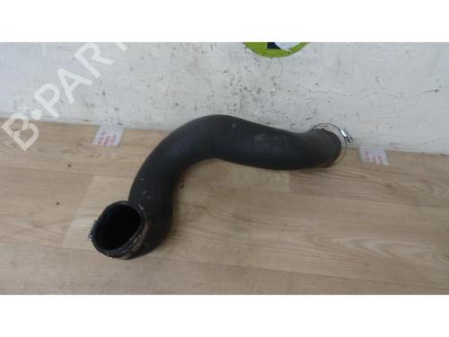 Pipe CITROËN C5 III (RD_) 2.0 HDi (RDRHD8, RDRHDJ, RDRHR8, RDRHRJ) | BP13131923M125 