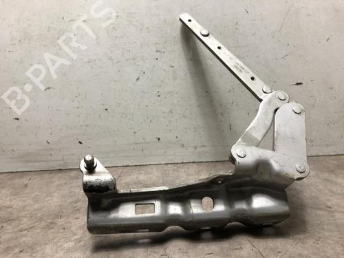 Used Hinge/Door check strap MERCEDES-BENZ C-CLASS Coupe (CL203) C 220 CDI (203.708) (150 hp) 20631147